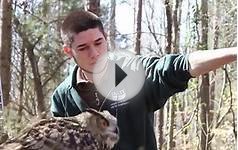 Carolina Raptor Center: Education and Wildlife Rehabilitation